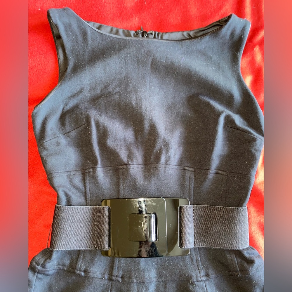 Cache Dress, Size 2, Stretch, Very Elegant - image 3